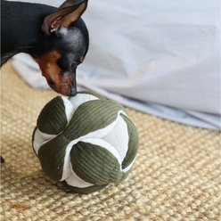 Lambwolf Monti Squeaky Plush Dog Toy, Pine, 5-in slide 2 of 4