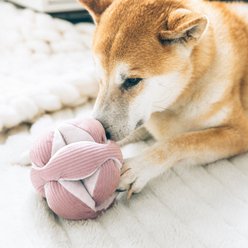 Lambwolf Monti Plush Dog Toy, Blush, 5-in slide 2 of 4