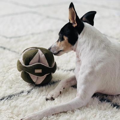 Show full view: Lambwolf Monti Plush Dog Toy, Pine, 5-in slide 2 of 4