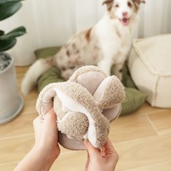 Lambwolf Monti Squeaky Plush Dog Toy, Oat, 6-in slide 2 of 4