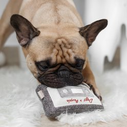 Lambwolf Cassette Plush Dog Toy slide 2 of 4