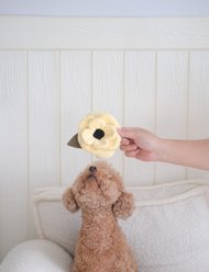 Lambwolf Poppy Dog Ball Toy, Yellow slide 2 of 4