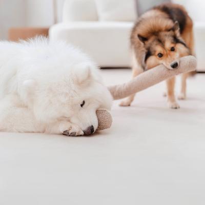 Show full view: Lambwolf O Nou Plush Dog Toy slide 5 of 5