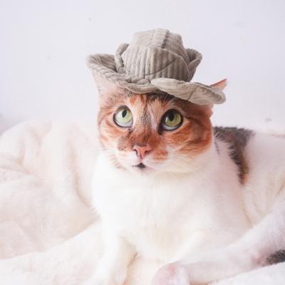 Show full view: Lambwolf Kitty Veggie Set Plush Cat Toy slide 3 of 4