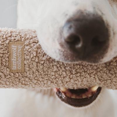 Show full view: Lambwolf O Nou Plush Dog Toy slide 4 of 5