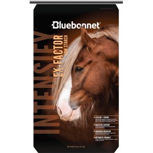 Bluebonnet Feeds Intensify Ex-Factor Low Sugar, Low Starch Horse Feed, 40-lb bag