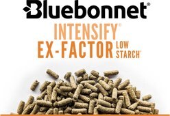 Bluebonnet Feeds Intensify Ex-Factor Low Sugar, Low Starch Horse Feed, 40-lb bag slide 2 of 6