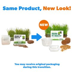 The Cat Ladies Organic Pet Grass Growing Kit with Containers, 3 count slide 2 of 8