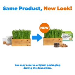 The Cat Ladies Cat Grass Kit & Decorative Wood Planter, Natural slide 2 of 9