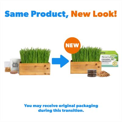 Show full view: The Cat Ladies Cat Grass Kit & Decorative Wood Planter, Natural slide 3 of 11