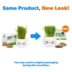 The Cat Ladies Organic Pet Grass Grow Kit with Planter, White slide 2 of 7