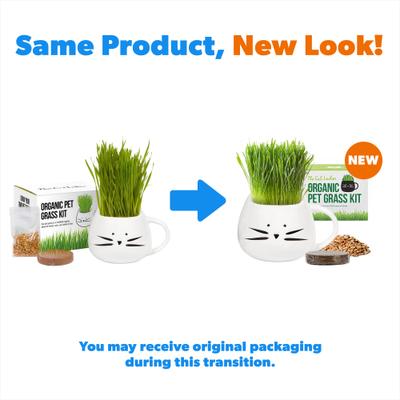 Show full view: The Cat Ladies Organic Pet Grass Grow Kit with Planter, White slide 3 of 10