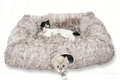 Kylinsure 2-in-1 Peekaboo Cave Donut Cat Tunnel Bed with Center Mat, X-Large, Brown