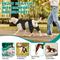 Show in main carousel: Supet Double Leg ACL Tear Recovery Knee Brace for Dogs, X-Small slide 8 of 9