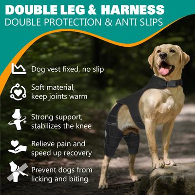 Show full view: Supet Double Leg ACL Tear Recovery Knee Brace for Dogs, X-Small slide 7 of 9