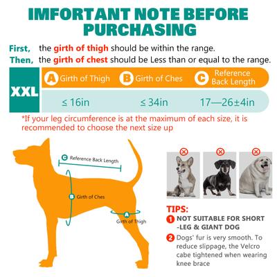 Show full view: Supet Double Leg ACL Tear Recovery Knee Brace for Dogs, XX-Large slide 6 of 9