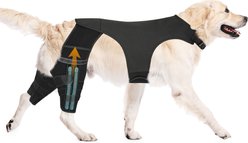 Supet Double Leg ACL Tear Recovery Knee Brace for Dogs, X-Small