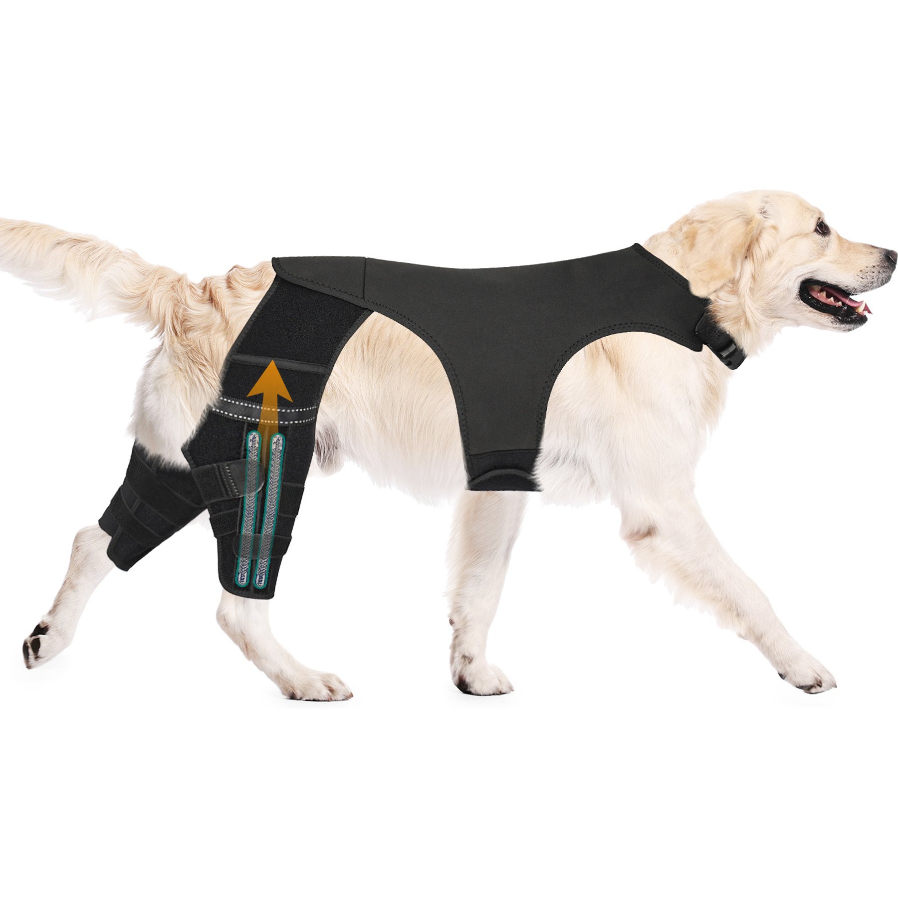 Supet Double Leg ACL Tear Recovery Knee Brace for Dogs, Large