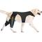 Show in main carousel: Supet Double Leg ACL Tear Recovery Knee Brace for Dogs, X-Small slide 1 of 9