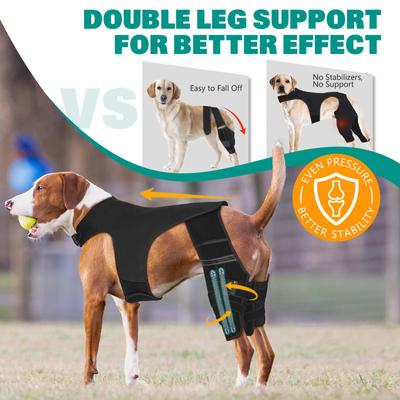 Show full view: Supet Double Leg ACL Tear Recovery Knee Brace for Dogs, X-Small slide 4 of 9