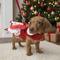 Show in main carousel: Doggie Design Holiday Candy Canes Dog Harness Dress, Red & White, Large slide 3 of 5