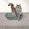 Show in main carousel: Fresh Kitty Jumbo Foam Non-Skid Gingko Leaf Cat Litter Mat slide 2 of 4