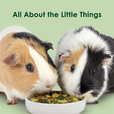 Show full view: Kaytee Super C Greens Daily Small Pet Food Topper, 2.75-oz bag slide 9 of 10