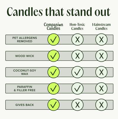 Show full view: Companion Candles Snuggle Season Balsam, Tonka Bean & Evergreen Pet-Safe Candle, 11.8-oz jar slide 3 of 6