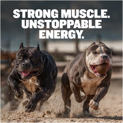 Show full view: Bully Max 30/20 High Protein & Fat Beef Flavored Dry Dog Food, 40-lb bag slide 4 of 10