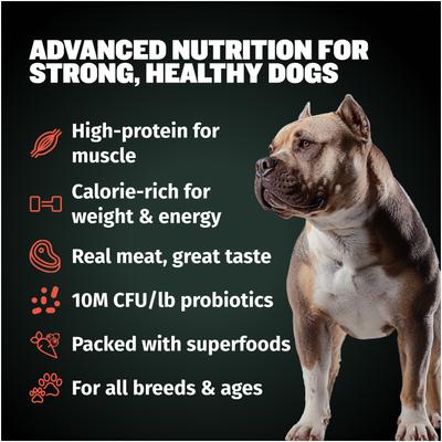 Show full view: Bully Max 30/20 High Protein & Fat Beef Flavored Dry Dog Food, 15-lb bag slide 7 of 10