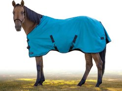 Kensington Protective Products Signature Medium Weight Horse Turnout Blanket, 78-in, Harbor