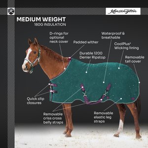 Kensington Protective Products Signature Medium Weight Horse Turnout Blanket, 84-in, Harbor