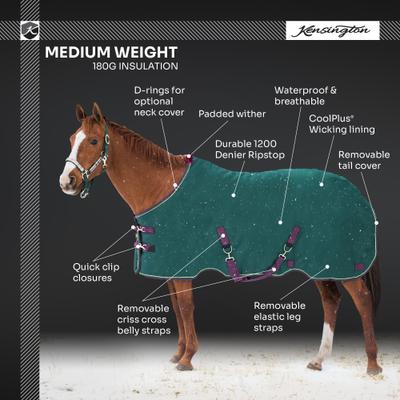 Show full view: Kensington Protective Products Signature Medium Weight Horse Turnout Blanket, 78-in, Navy slide 4 of 10