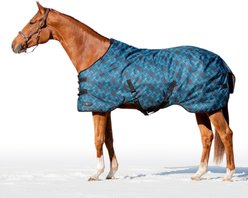 Kensington Protective Products Signature Medium Weight Horse Turnout Blanket, 78-in, Atlantis