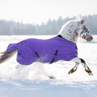 Show full view: Kensington Protective Products Signature Medium Weight Horse Turnout Blanket, 63-in, Purple slide 2 of 10