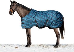 Kensington Protective Products Signature Medium Weight Horse Turnout Blanket, 63-in, Atlantis