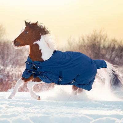 Show full view: Kensington Protective Products Signature Medium Weight Horse Turnout Blanket, 57-in, Navy slide 2 of 10
