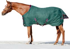Kensington Protective Products Signature Medium Weight Horse Turnout Blanket, 78-in, Hunter