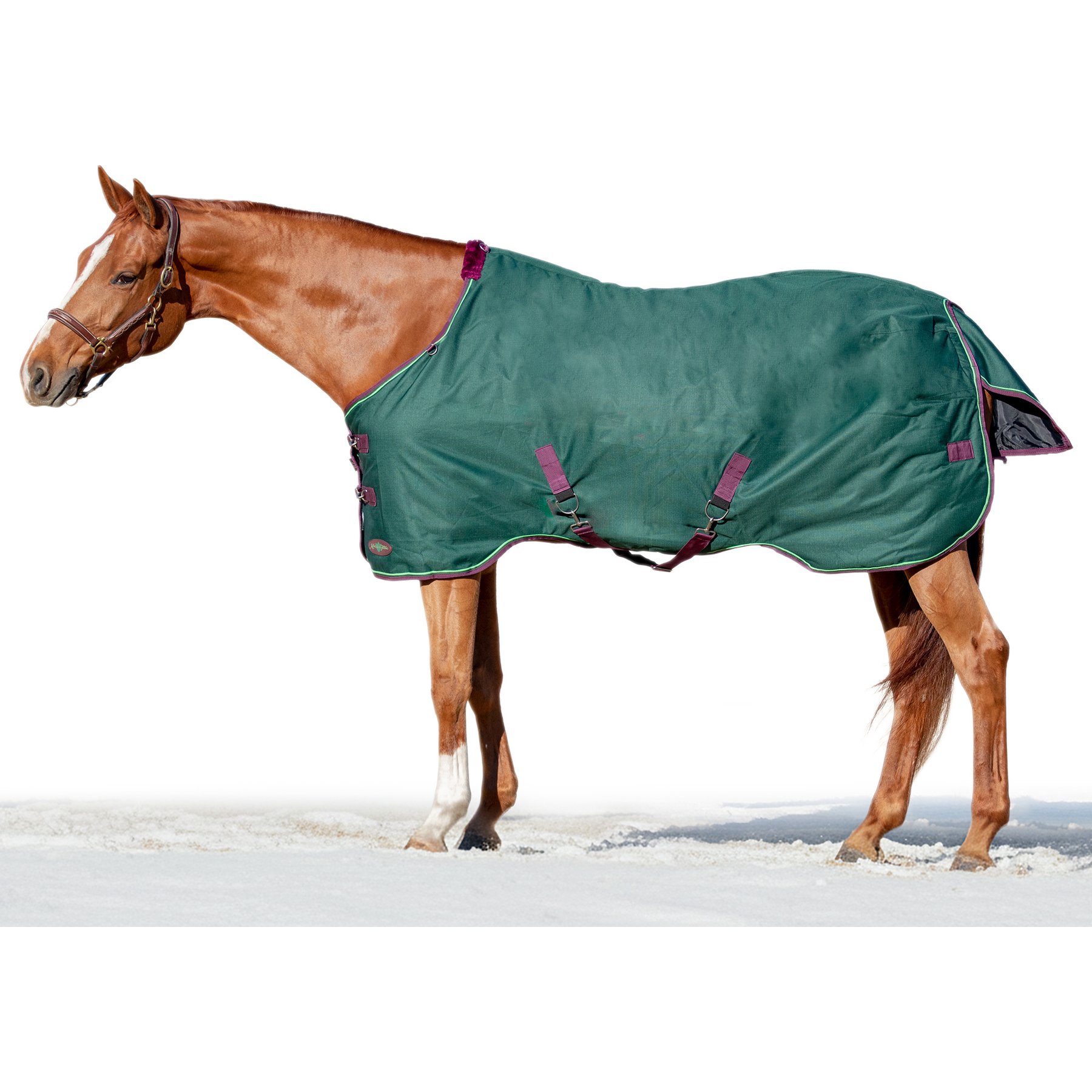 Kensington Protective Products Signature Medium Weight Horse Turnout Blanket, 69-in, Hunter