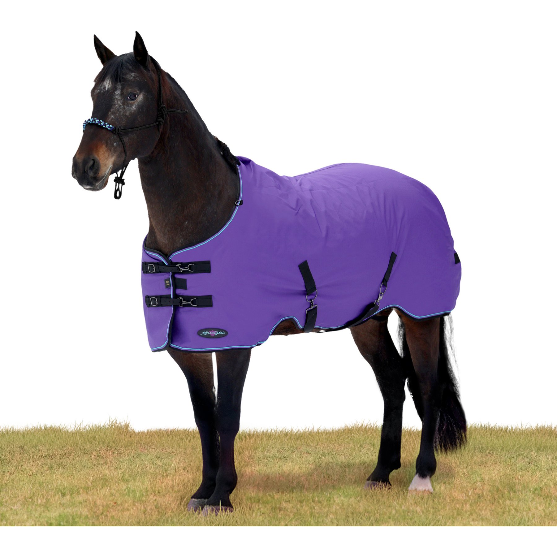 Kensington Protective Products Signature Medium Weight Horse Turnout Blanket, 81-in, Purple