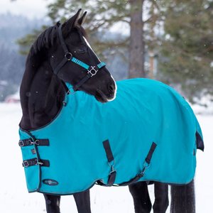 Kensington Protective Products Signature Medium Weight Horse Turnout Blanket, 84-in, Harbor
