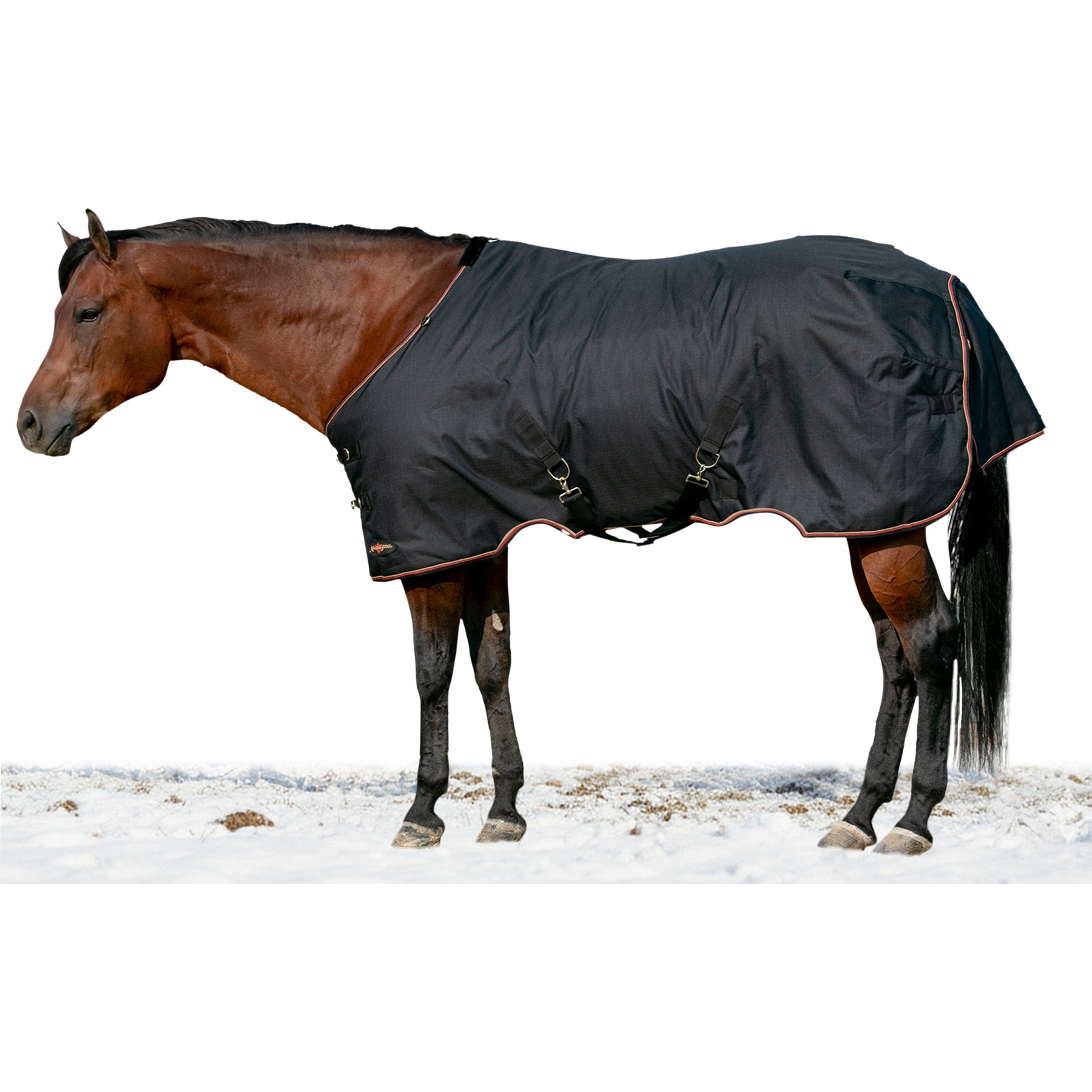 Kensington Protective Products Signature Medium Weight Horse Turnout Blanket, 84-in, Black