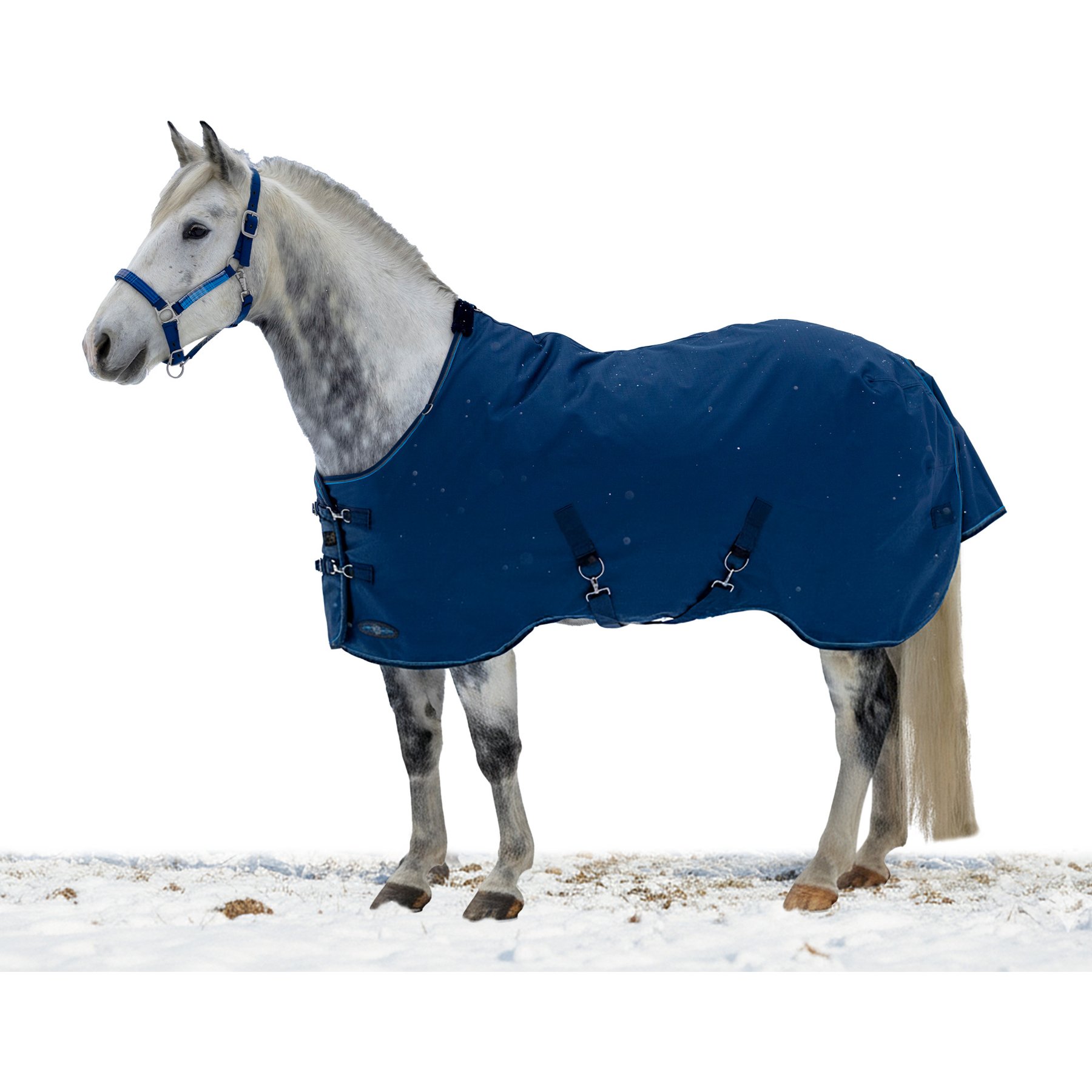 Kensington Protective Products Signature Medium Weight Horse Turnout Blanket, 84-in, Navy