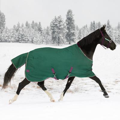 Show full view: Kensington Protective Products Signature Medium Weight Horse Turnout Blanket, 78-in, Hunter slide 2 of 10