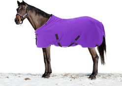 Kensington Protective Products Signature Medium Weight Horse Turnout Blanket, 63-in, Purple