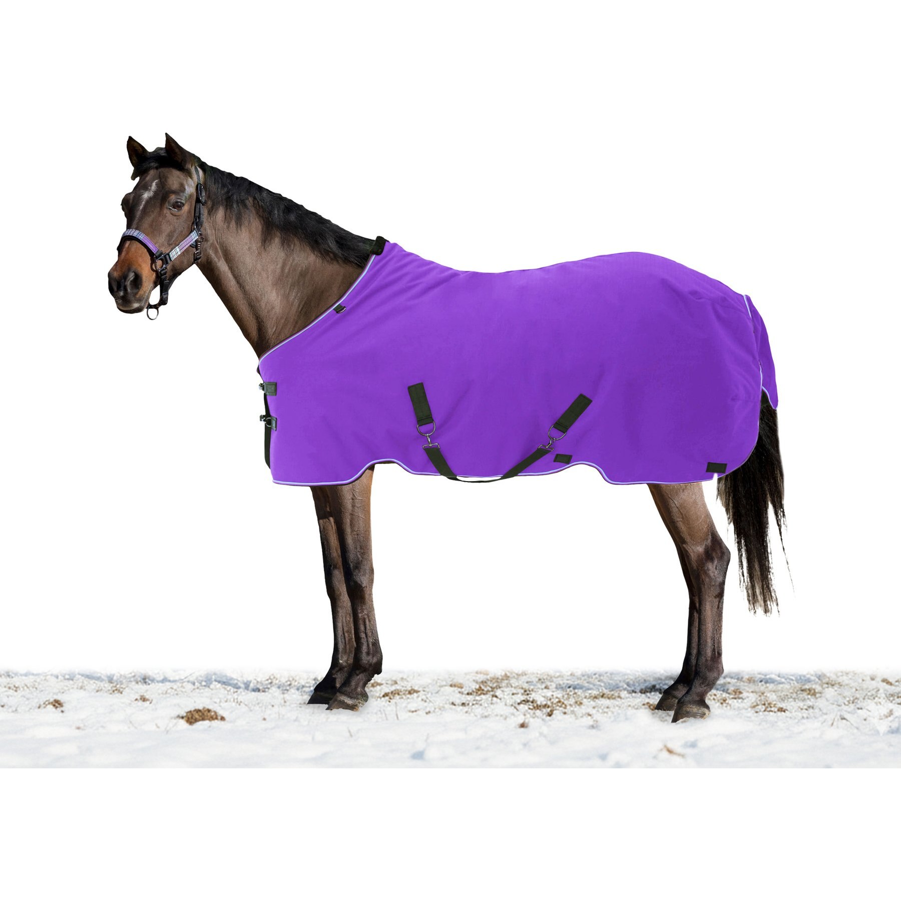 Kensington Protective Products Signature Medium Weight Horse Turnout Blanket, 57-in, Purple