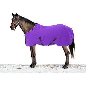 Kensington Protective Products Signature Medium Weight Horse Turnout Blanket, 63-in, Purple