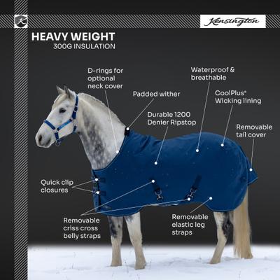 Show full view: Kensington Protective Products Signature Heavy Weight Horse Turnout Blanket, 66-in, Purple slide 4 of 10