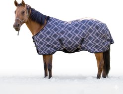 Kensington Protective Products Signature Heavy Weight Horse Turnout Blanket, 66-in, Deluxe Black