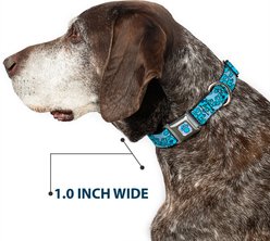 Buckle-Down Nickelodeon Blues Clues Blue Poses Dog Collar, Small: 9.5 to 13-in neck, 1-in wide slide 2 of 8